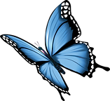 Blue ButterFly_edited.png